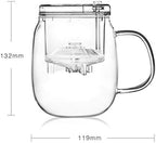 Japanese Cast Iron Tetsubin Teapot Glass Teapot 600ml with Heat Resistant Stainless Steel Infuser - Image 2