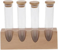 Glass Storage Tube with Wood Stand, Coffee Bean Display Jar by NULYLU