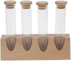 Glass Storage Tube with Wood Stand, Coffee Bean Display Jar by NULYLU