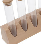 Glass Storage Tube with Wood Stand, Coffee Bean Display Jar - Image 3