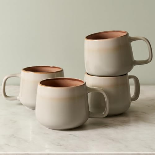 Ava Nord Large Stoneware Ceramic Coffee Mugs Set of 4 | 16 oz | Sage Ash by AvaNord