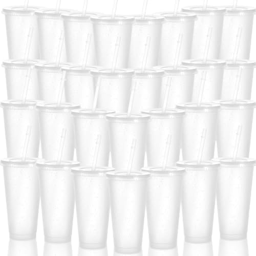30 Pack Tumblers with Lid and Straw Reusable Plastic Clear Cups Bulk Water Bottles 24 Ounces Cups Travel Mug Cup for Iced Coffee Cold or Hot Drink Juices Birthdays Party Outdoor Use by Unknown