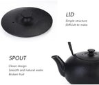 0.8L Japanese Style Cast Iron Teapot Without Coating Tetsubin Tea Kettle with Infuser Iron Tea Gift for Adult Father Mother Family - Image 5