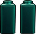 Tea Canister 2 Pieces Tea Tins Sealed Storage Jars Iron Container for Storing Loose Leaf TeeA Tea Canister (Color : Green, Size : 7.5x7.5x15.5cm) by Unknown