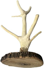 Rustic Oak Branch Mug Tree Holder, Handmade Wood Coffee Cup Stand - Image 6
