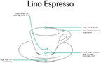 notNeutral LINO Porcelain Cup & Saucer (White) (6, 3 oz) - Image 4