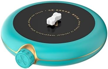 Magnetic Stirrer Hot Plate, Coffee Mug Warmer for Office and Home Desk Use, Smart Cup Warmer with Thermostat (Blue) by BIPEE