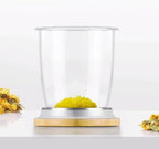 Removable Large Capacity Home Glass teapot Transparent Tea Set Tea Maker with Infuser Fruit Tea Kettle Water Pot Cleanable - Image 6
