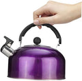 STOBAZA Whistling Tea Pot, 2l Stovetop Tea Kettle Stainless Steel Water Boiler Kettle Coffee Pot Cooker for Stove Top Induction Purple by EaseLiving
