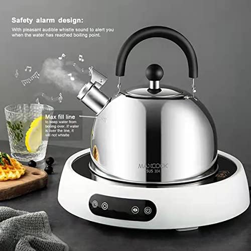 304 Stainless Steel Whistling Tea Kettle 2.1 Quart/2L (Silver) - Image 3