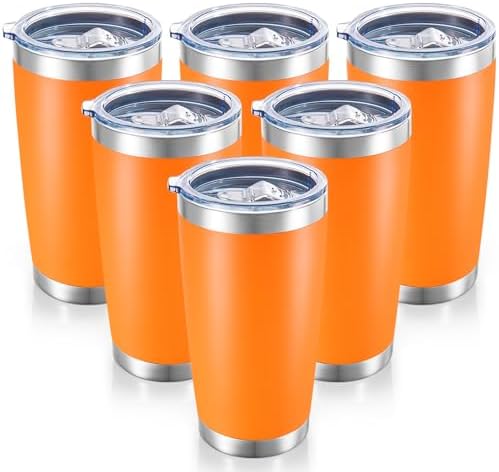 20 oz Tumblers Bulk Stainless Steel Tumbler with Lid, 6 Pack by CoolYoleb