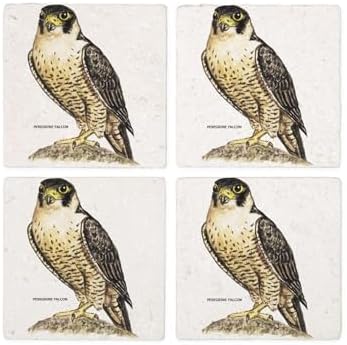 CafePress Peregrine Falcon Bird Tumbled Stone - Set of 4 Coasters Set of 4 w/holder - Image 4