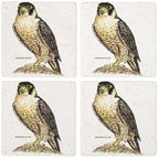 CafePress Peregrine Falcon Bird Tumbled Stone - Set of 4 Coasters Set of 4 by CafePress