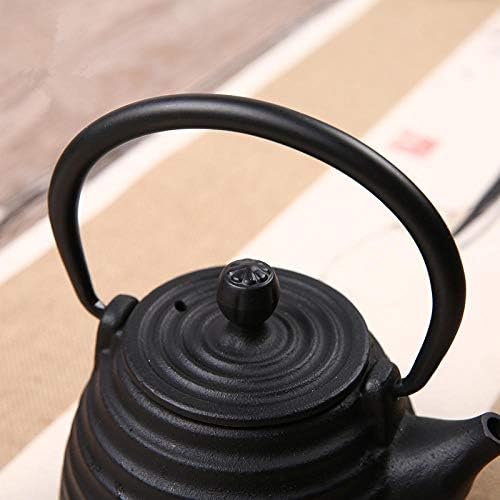 Cast Iron Tea Pot Set Japanese teapot tetsubin Kettle Drink Kungfu Tools Stainless Steel Sieve Ellipse Tea Kettle 500ml-As Shown (Stainless Steel) - Image 4
