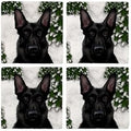 CafePress Black German Shepherd Dog Winter Tumbled Stone - Set of 4 Coasters Set of 4 by CafePress