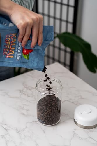 Bean Care System Bundle – Smart Coffee Canister with One-Touch Vacuum Seal & Dual-Mesh Stainless Steel Sifter for Fresh Storage & Consistent Grinds – Cold Brew & Espresso Ready - Image 5