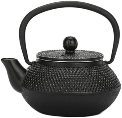 Without Coating Cast Iron Teapot Tetsubin with Stainless Steel Filter Tea Kettle Iron Tea Gift for Adult Father Mother Family,0.3L by XHPBCG