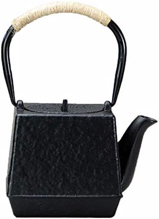 cast iron tea kettle tetsubin japanese cast iron teapot workshop with Stainless Steel Infuser(30.4oz) by Unknown