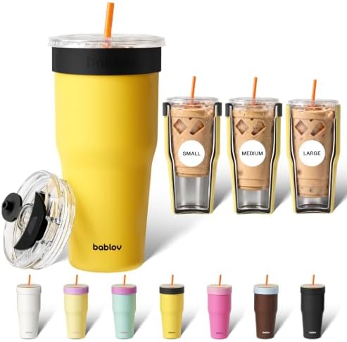BABLOV GO-PAL 30oz Insulated Coffee Tumbler with Straw Ice Coffee Cup by bablov
