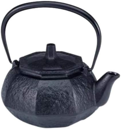 Japanese Cast Iron Teapot with Stainless Steel Tea Strainer, Nambu Tekki Traditional Japanese Ironware, Made in Japan, 0.4L Capacity, Octagon Shape by IPPINKA