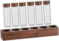 SOLUSTRE Glass Coffee Bean Tube Set with Wood Stand, 6 Airtight Vials by SOLUSTRE