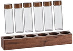 SOLUSTRE Glass Coffee Bean Tube Set with Wood Stand, 6 Airtight Vials by SOLUSTRE