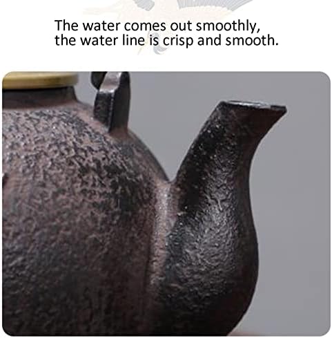 Cast Iron Teapot Japanese Tea Kettle with Removable Stainless Steel Infuser Internal Enamelware Teapots with Birds and Plum Flower - Image 7