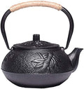 Japanese Tetsubin Tea Kettle Cast Iron Teapot with Stainless Steel Infuser by SGSG