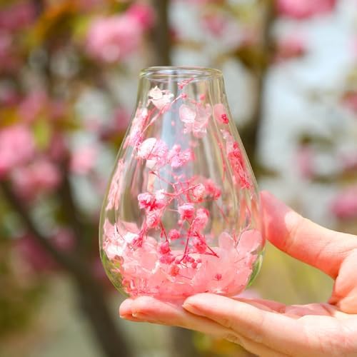 Premium Boutique Real Dried Flower Coffee Espresso Cup 5oz Shot Double Wall Heat Resistant Tea Cups Drinkware (Pink Yellow Small Flower Cup) - Image 6