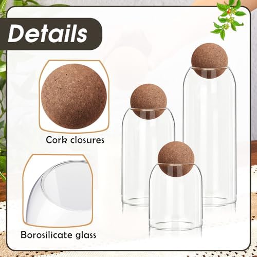 Suclain 6 Pcs Glass Jars with Cork Ball Lid Kitchen Canister, 40/25/17oz - Image 3