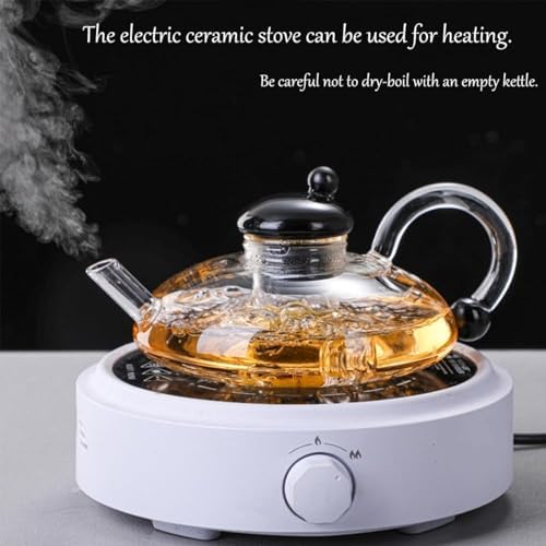 Sereno Filtration Teapot Set, Innovessa Tea Pot, 20oz Sereno Filtration Glass Teapot Set with Infusers for Loose Tea(Black) - Image 5