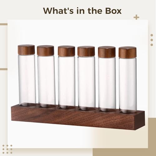 6-Hole Walnut Base with Glass Tubes, Coffee Bean Storage Stand for Single Dose Coffee Bean Storage Containers, Espresso Bean Cellars, Holds 0.6-0.7 oz, Professional Display - Image 6
