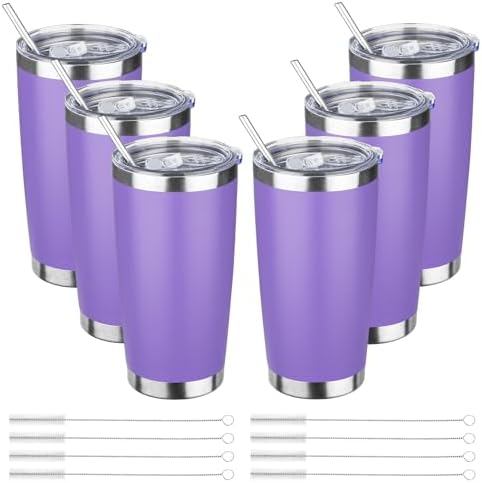 DIW 20oz Insulated Tumbler Bulk Travel Coffee Mug with Lid(Purple,6 Pack) by DIWsojournlife