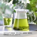 Hario "Clear" Tea Pot, 450ml - Image 3