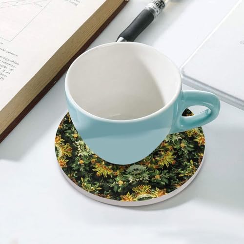 6PCS Coasters for Drinks Set, Ceramic Coasters with Cork Backing Pads, Heat Resistant Drink Coasters for Coffee Table, Natural Style Green Coaster for Tabletop Protection 4.1" Cup Mat Pad - Image 5
