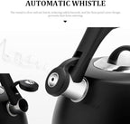 2.5L Classic Tea Kettle Food Grade Stainless Steel Whistling Tea Kettle Stovetops Tea Pot Stove Top Kettle with Thermometer for Tea Coffee Milk Gas Electric Bla, - Image 2