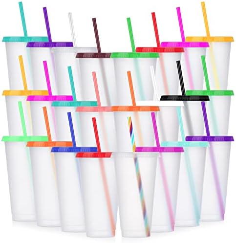 24 Pack Plastic Tumblers with Lids and Straw, Reusable Cups with Lids and Straws Clear Cups for Cold Drink Iced Coffee, Plastic Tumbler Bulk for Party Birthday Gifts (24 oz, Clear Colors) by LEIFEOSH