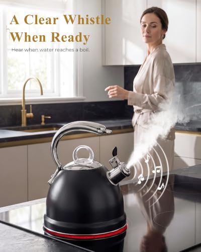 Harriet Whistling Tea Kettle for Stove Top, 2.5 QT Food-Grade Steel Teapot - Image 4