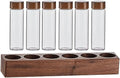 UPKOCH 1 Set Glass Coffee Beans Storage Tubes Coffee Bean Cellar with Wooden Stand Single Dose Vials for Tea Spices by UPKOCH