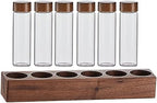 UPKOCH 1 Set Glass Coffee Beans Storage Tubes Coffee Bean Cellar with Wooden Stand Single Dose Vials for Tea Spices by UPKOCH