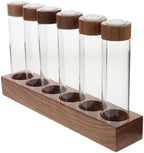 Coffee Bean Display Rack 6 Piece Wooden Glass Airtight Storage by AUTSUPPL