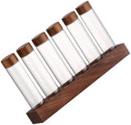 1Set Coffee Bean Storage Tubes with Wooden Stand Airtight Glass Canisters for Preserving Freshness for Coffee Beans and Seasonings Easy to Assemble and Disassemble by AUTSUPPL