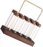 Glass Coffee Bean Storage Tube with Wooden Stand, Airtight by TOKIDNY