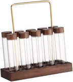 Angoily Glass Coffee Bean Vials with Lids, Wooden Stand Display by Angoily