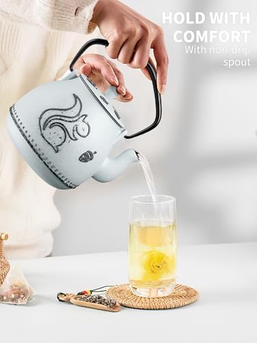 Toptier Teapot with Removable Infuser, Cast Iron Tea Kettle Stovetop Safe, Squirrel Design Tea Pot Coated with Enameled Interior for 32 Ounce (950 ml), Light Blue - Image 7