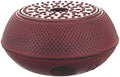 M.V. Trading T-7048 Large Cast Iron Tetsubin Teapot Warmer Arr, Red by MVTrading
