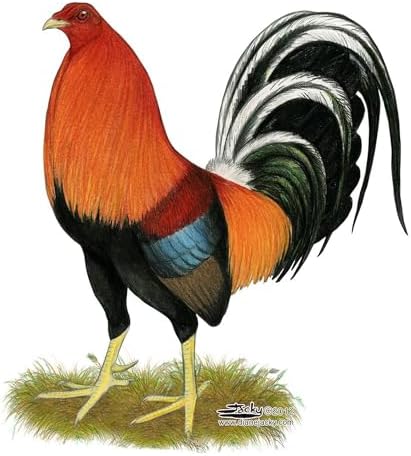 CafePress Gamecock Wheaten Rooster Tumbled Stone - Set of 4 Coasters Set of 4 w/holder - Image 2