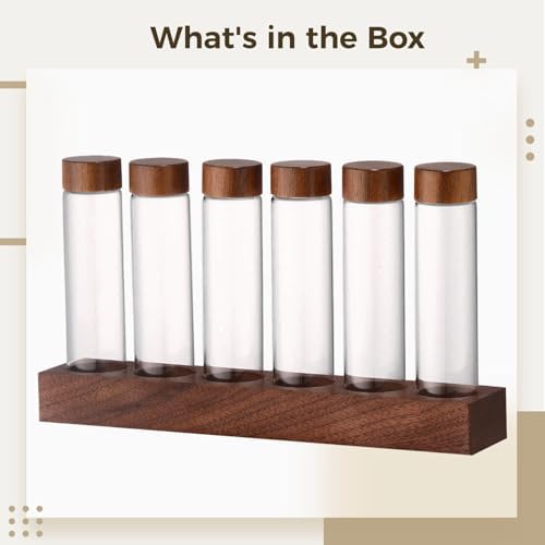 6-Hole Single Dose Coffee Bean Cellars, Walnut Base with Glass Tubes, Storage Containers, Professional Display, 0.6-0.7 Oz Capacity - Image 5