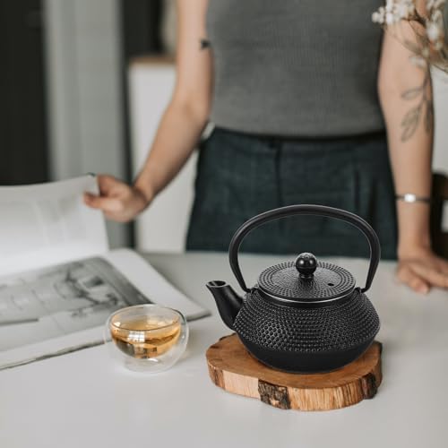 Cast Iron Tetsubin Tea Pot 0.3l Black Vintage Xmas - Image 2