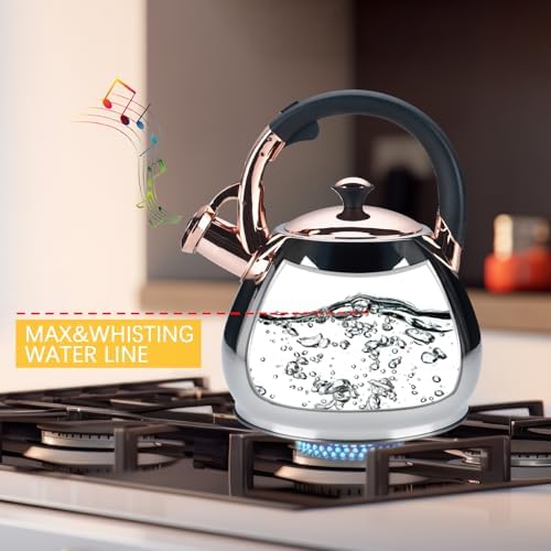 Tea Kettle Stovetop Whistling Kettle Teapot, 3Quart Tea Pot Stainless Steel Teakettle for Stove Top with Heat Proof Ergonomic Handle - Image 3